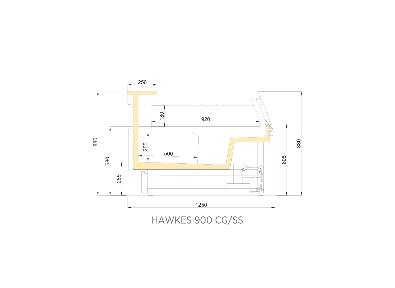 HAWKES 900 CG/SS
